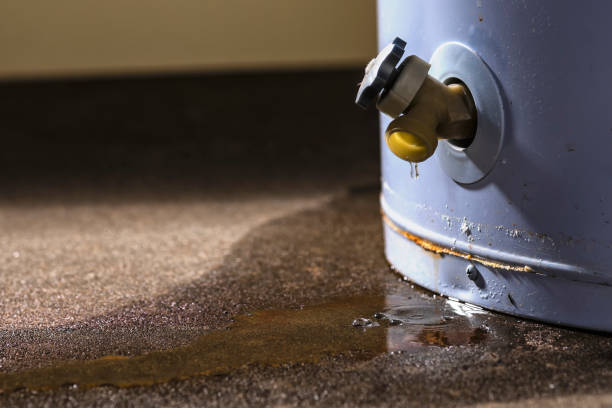 Best Water damage restoration near me  in Ashland, NE