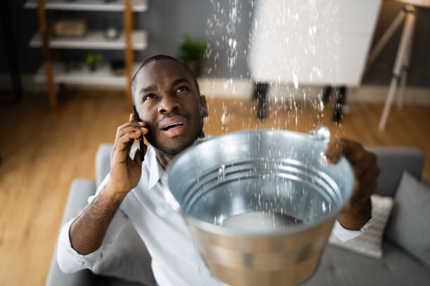 Water damage restoration mold remediation in NE