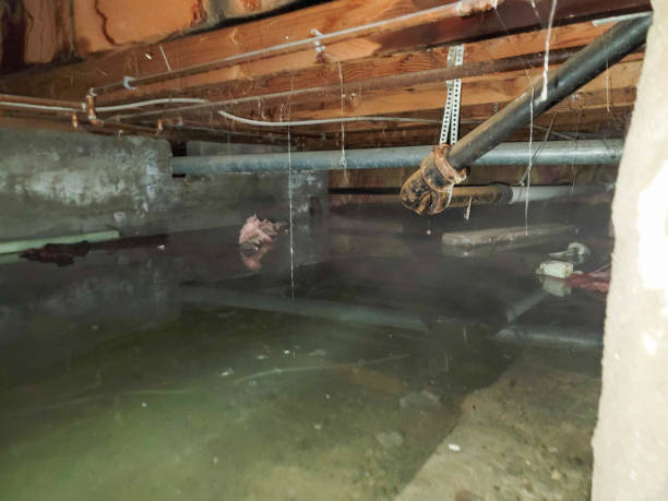 Best Water damage restoration experts  in Ashland, NE