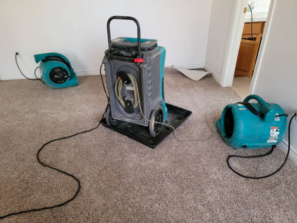 Best Water damage contractors near me  in Ashland, NE