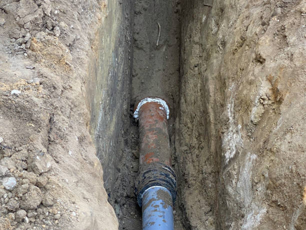 Best Flood restoration services  in Ashland, NE