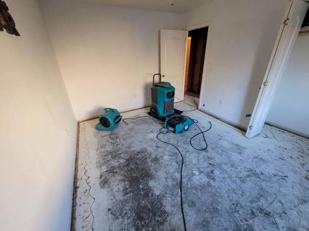 Best 24/7 water damage repair  in Ashland, NE
