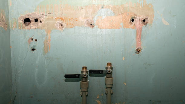Trusted NE Water damage restoration Experts