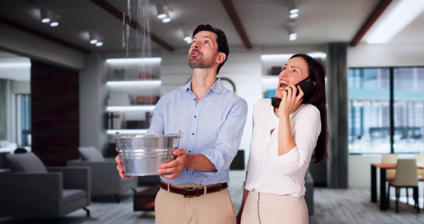 Best Commercial water damage restoration  in Ashland, NE