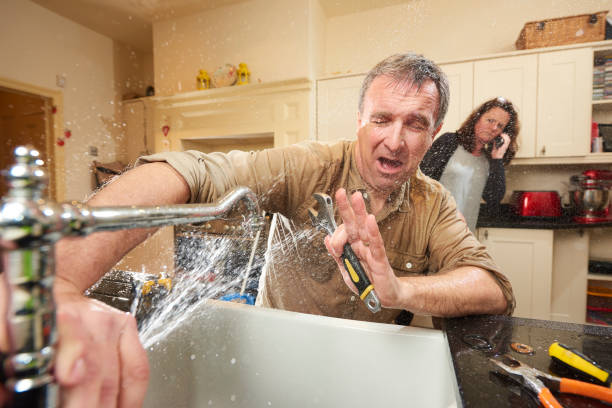 Best Commercial water damage restoration  in Ashland, NE